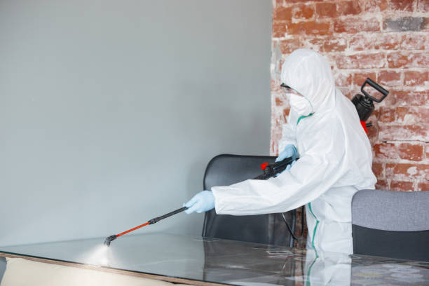  , USA Mold Removal Pros